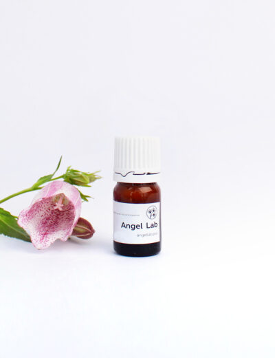 «Ночной экстрапитательный» флюид Angel Lab - миниатюра 5 мл, Одобрено Ecogolik.ru